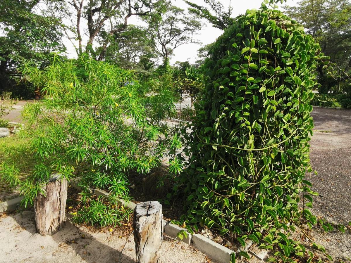 Happy Forest B&B Katima Mulilo Esterno foto