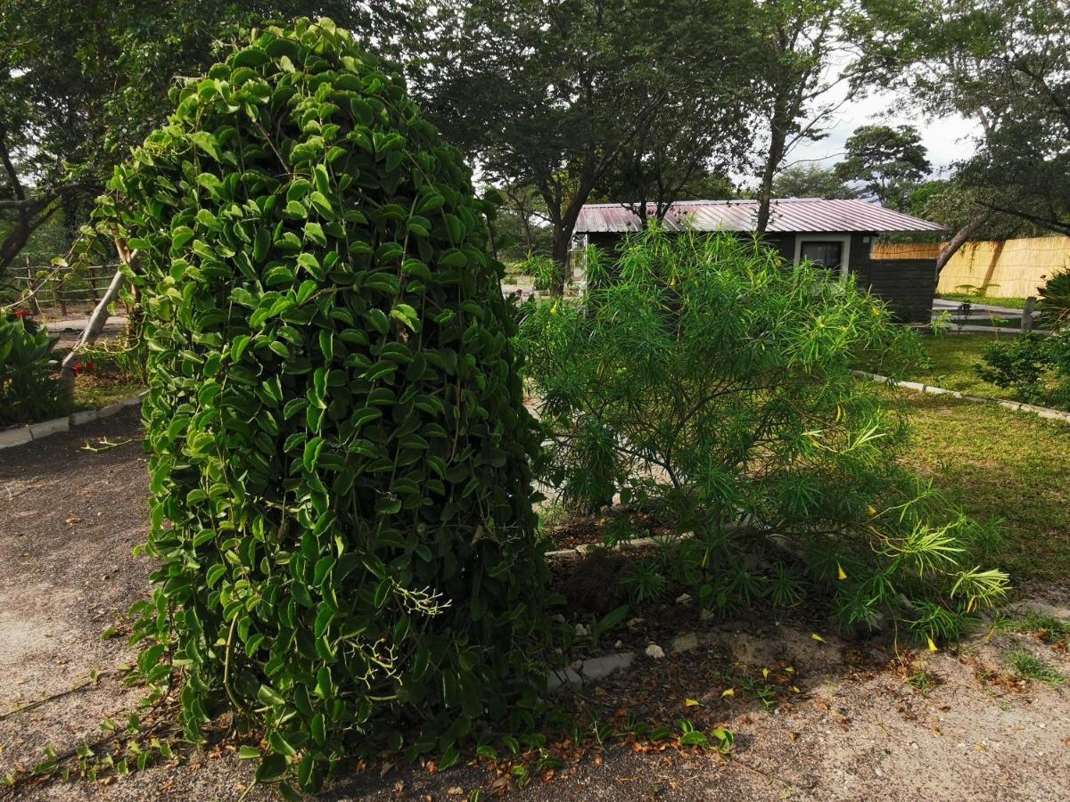 Happy Forest B&B Katima Mulilo Esterno foto