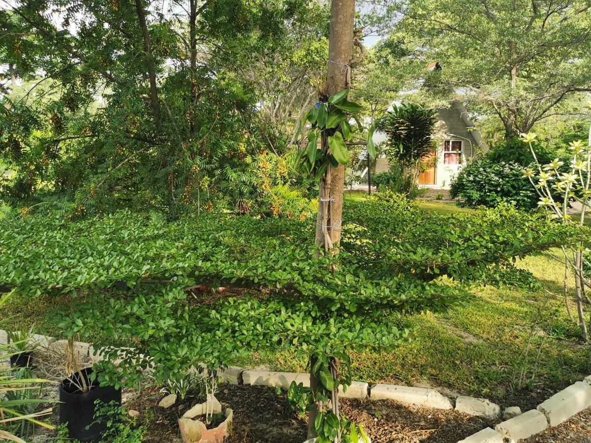 Happy Forest B&B Katima Mulilo Esterno foto