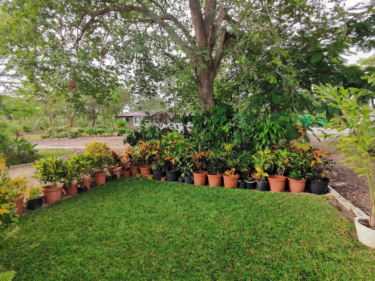 Happy Forest B&B Katima Mulilo Esterno foto