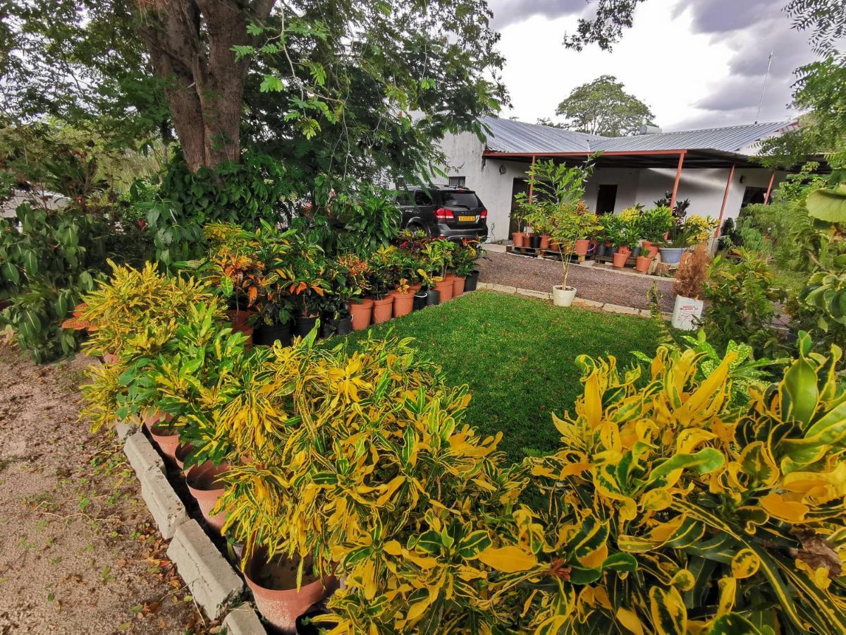 Happy Forest B&B Katima Mulilo Esterno foto
