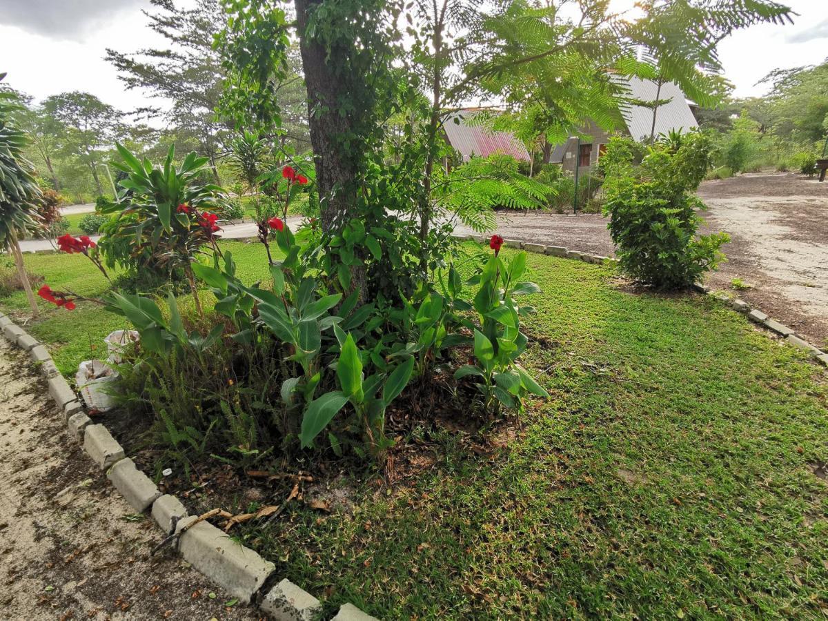Happy Forest B&B Katima Mulilo Esterno foto