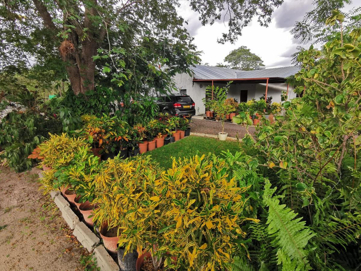 Happy Forest B&B Katima Mulilo Esterno foto