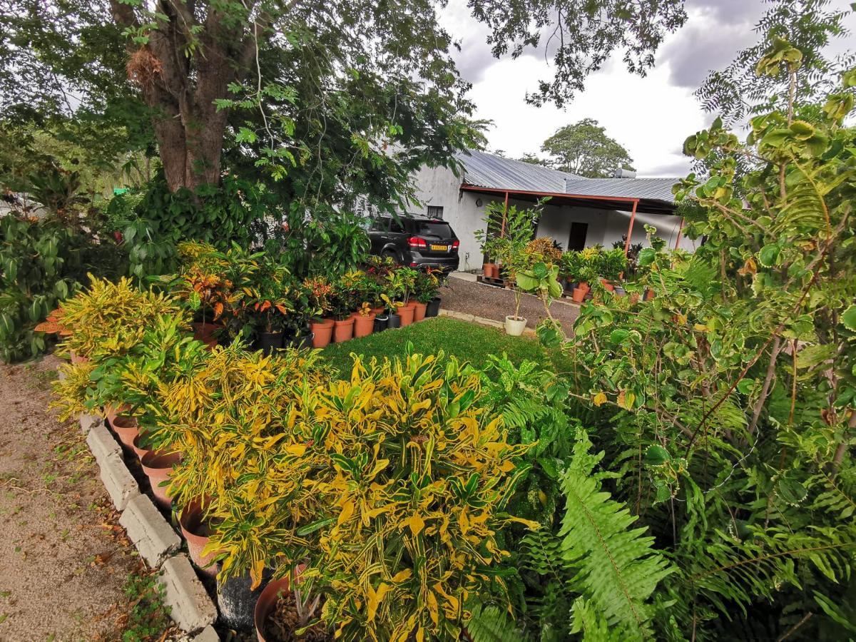Happy Forest B&B Katima Mulilo Esterno foto